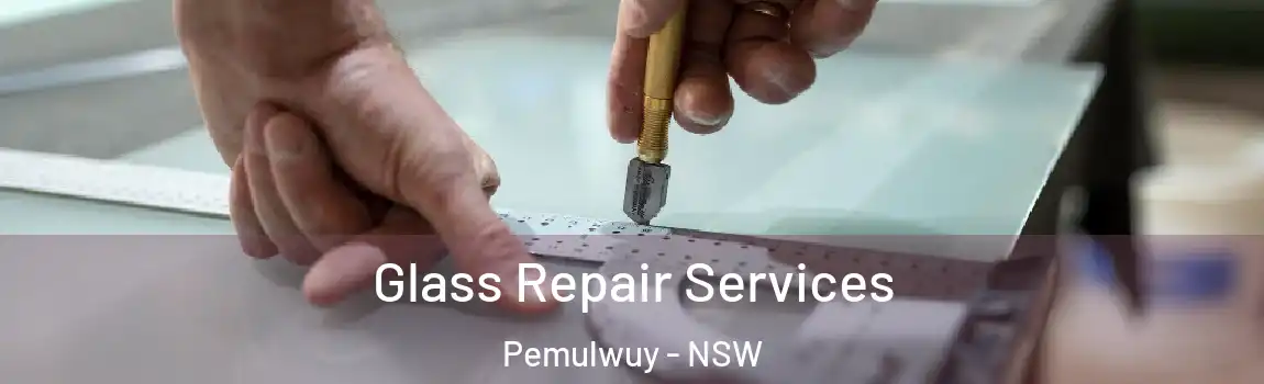  Glass Repair Services Pemulwuy - NSW