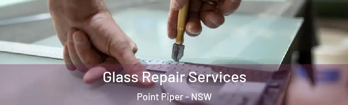  Glass Repair Services Point Piper - NSW