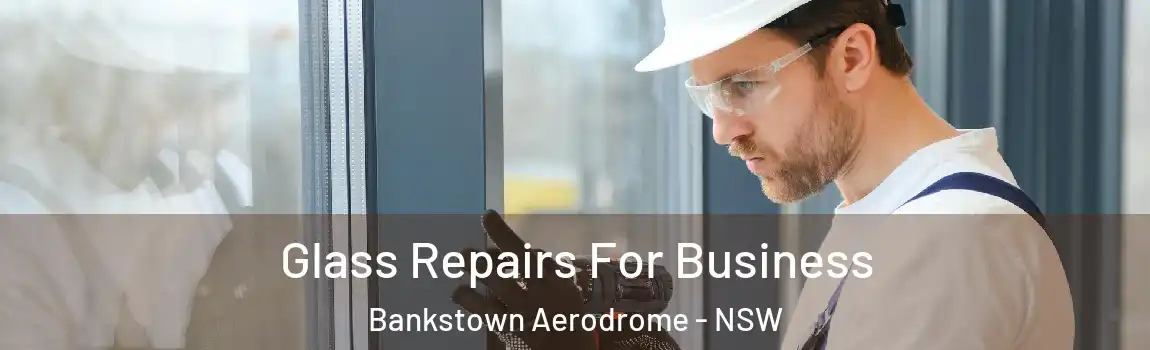  Glass Repairs For Business Bankstown Aerodrome - NSW