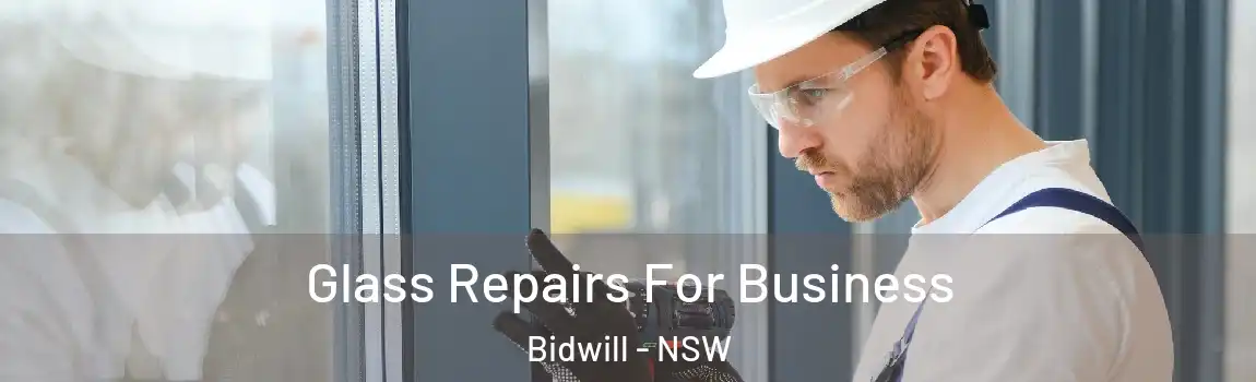  Glass Repairs For Business Bidwill - NSW