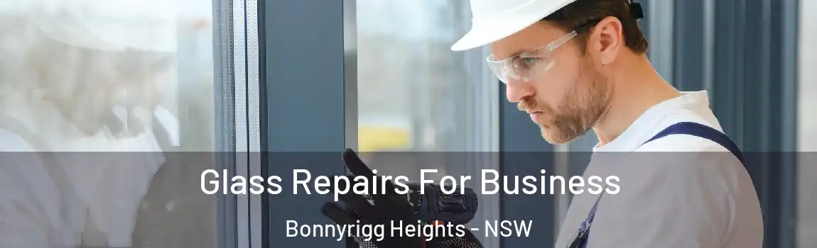  Glass Repairs For Business Bonnyrigg Heights - NSW