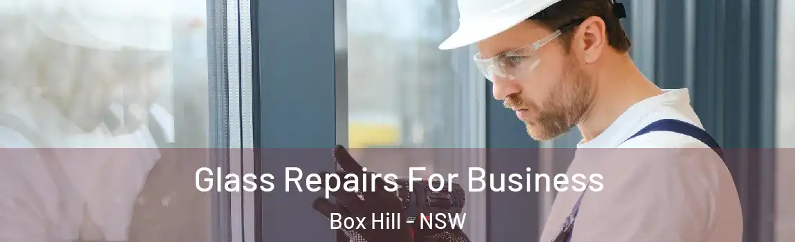  Glass Repairs For Business Box Hill - NSW