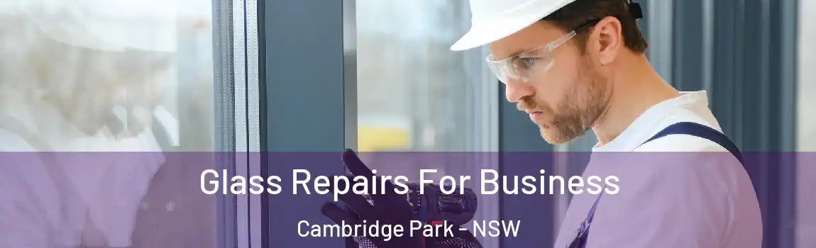  Glass Repairs For Business Cambridge Park - NSW