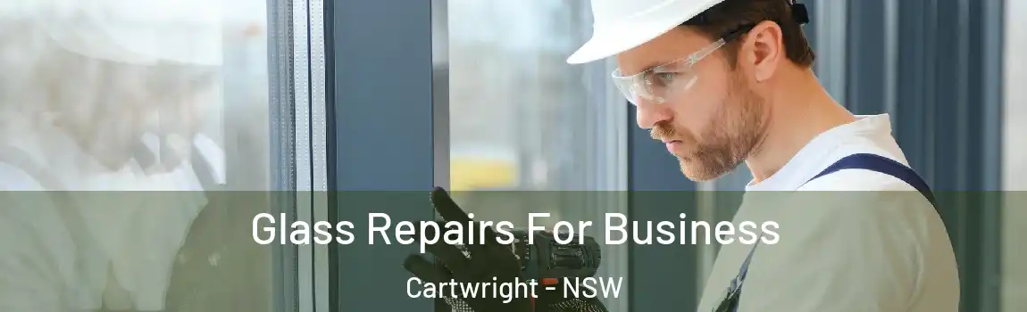  Glass Repairs For Business Cartwright - NSW
