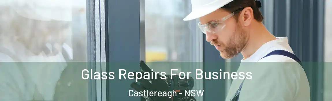  Glass Repairs For Business Castlereagh - NSW