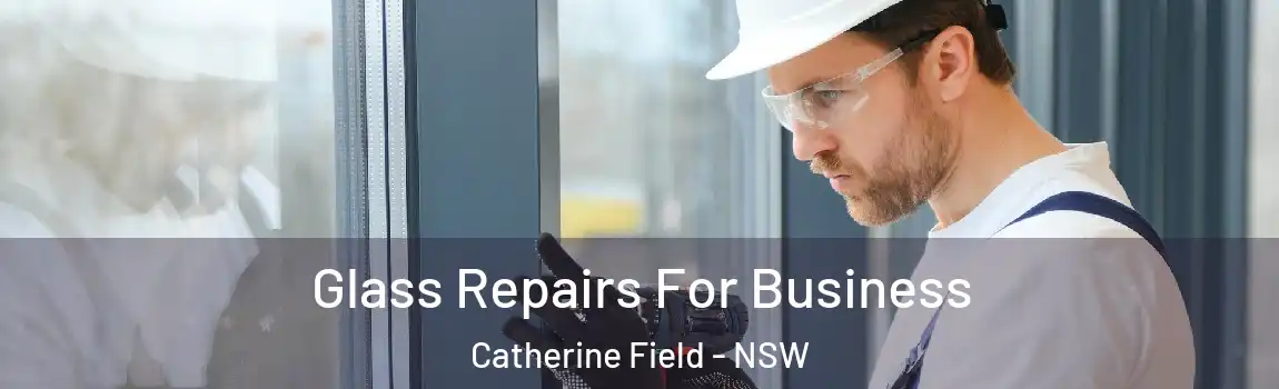  Glass Repairs For Business Catherine Field - NSW