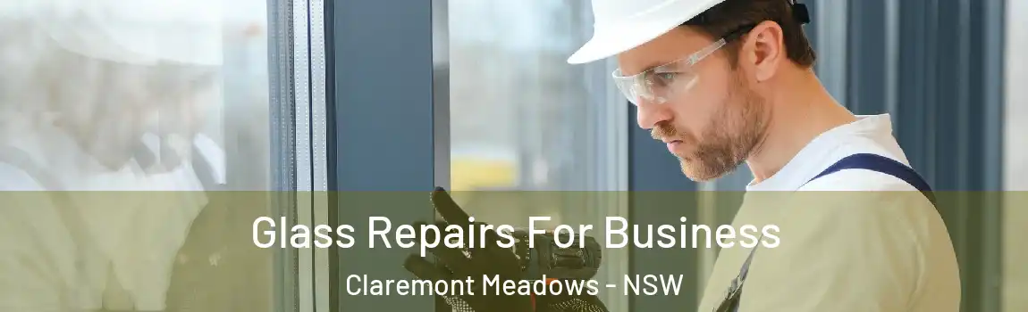  Glass Repairs For Business Claremont Meadows - NSW
