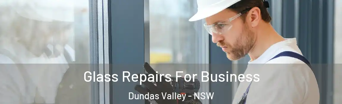  Glass Repairs For Business Dundas Valley - NSW