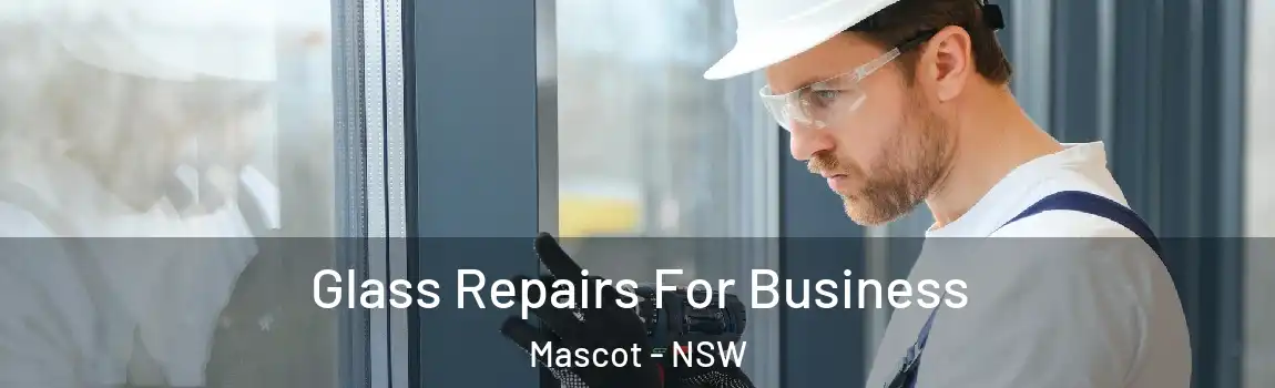  Glass Repairs For Business Mascot - NSW