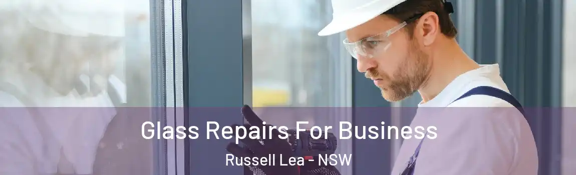  Glass Repairs For Business Russell Lea - NSW