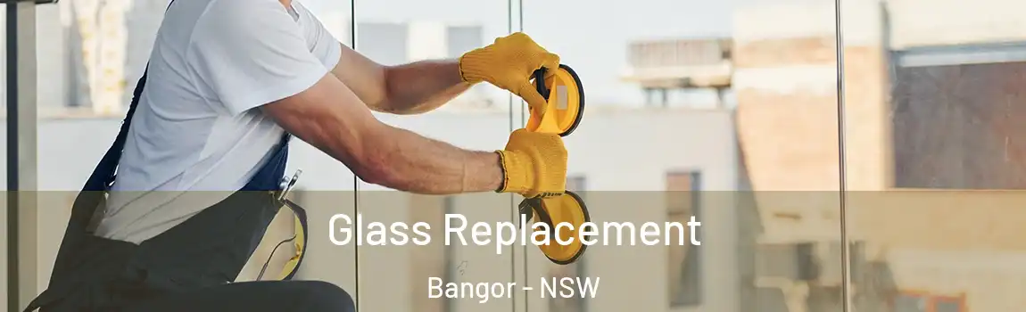  Glass Replacement Bangor - NSW