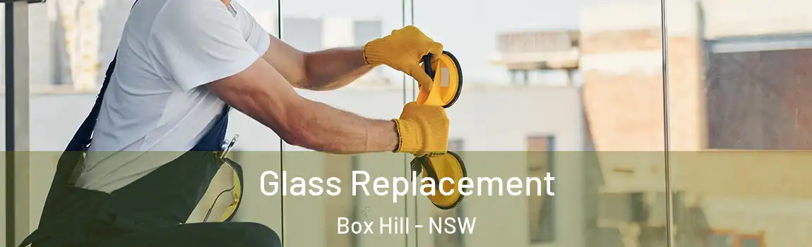  Glass Replacement Box Hill - NSW