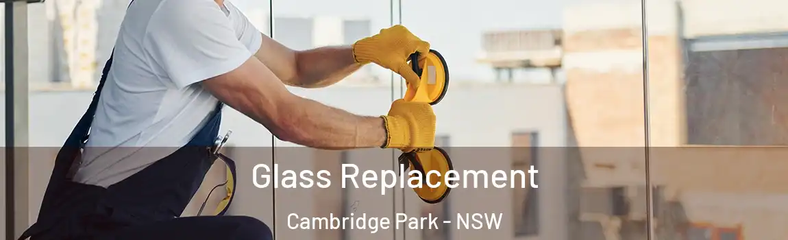  Glass Replacement Cambridge Park - NSW
