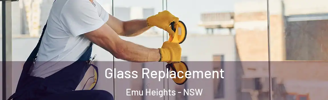  Glass Replacement Emu Heights - NSW