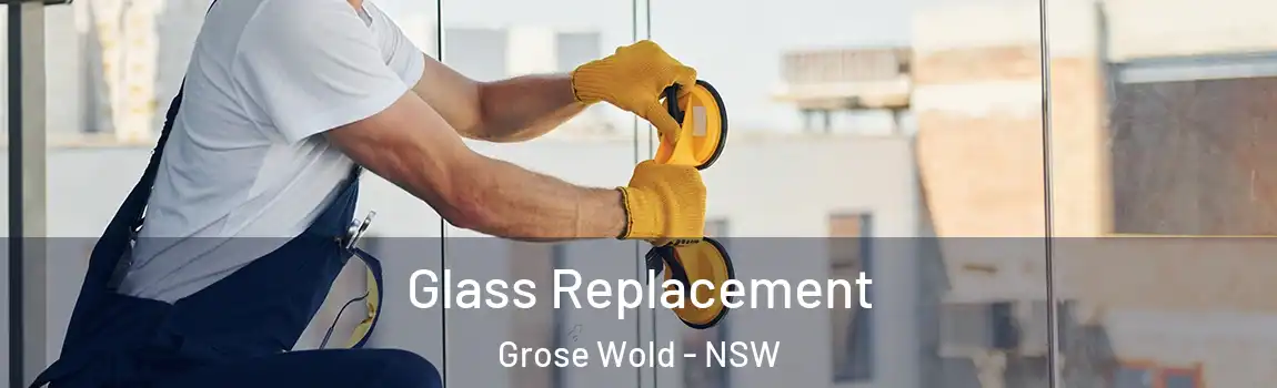  Glass Replacement Grose Wold - NSW