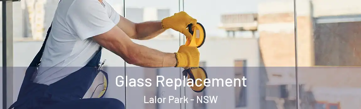  Glass Replacement Lalor Park - NSW
