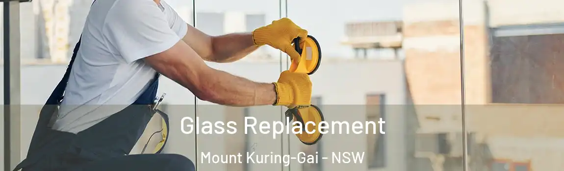  Glass Replacement Mount Kuring-Gai - NSW