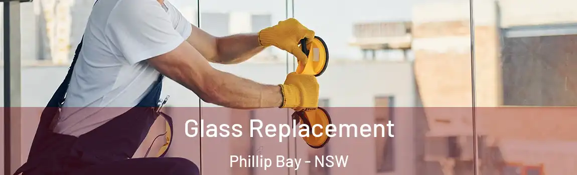  Glass Replacement Phillip Bay - NSW
