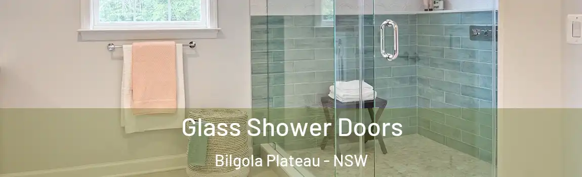  Glass Shower Doors Bilgola Plateau - NSW