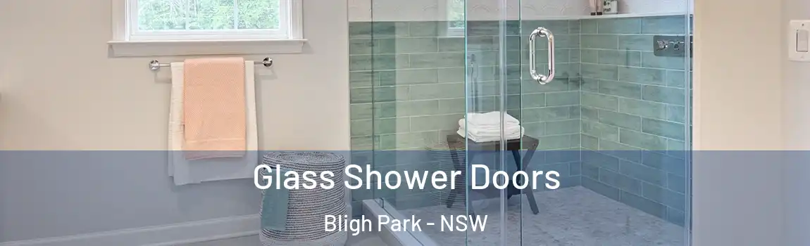  Glass Shower Doors Bligh Park - NSW