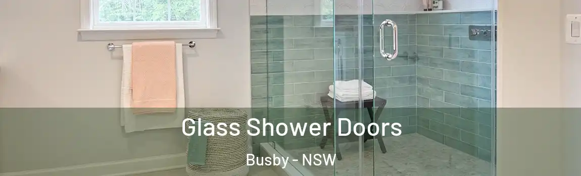  Glass Shower Doors Busby - NSW