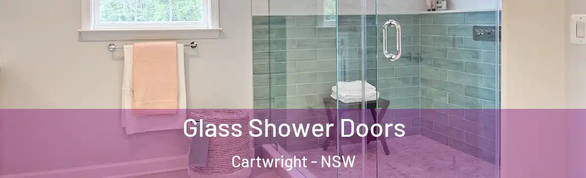  Glass Shower Doors Cartwright - NSW