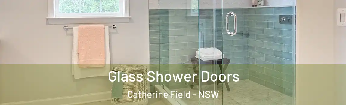  Glass Shower Doors Catherine Field - NSW