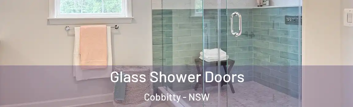  Glass Shower Doors Cobbitty - NSW