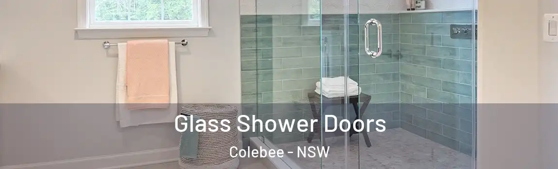  Glass Shower Doors Colebee - NSW