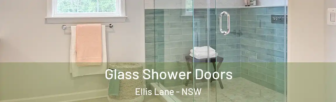  Glass Shower Doors Ellis Lane - NSW