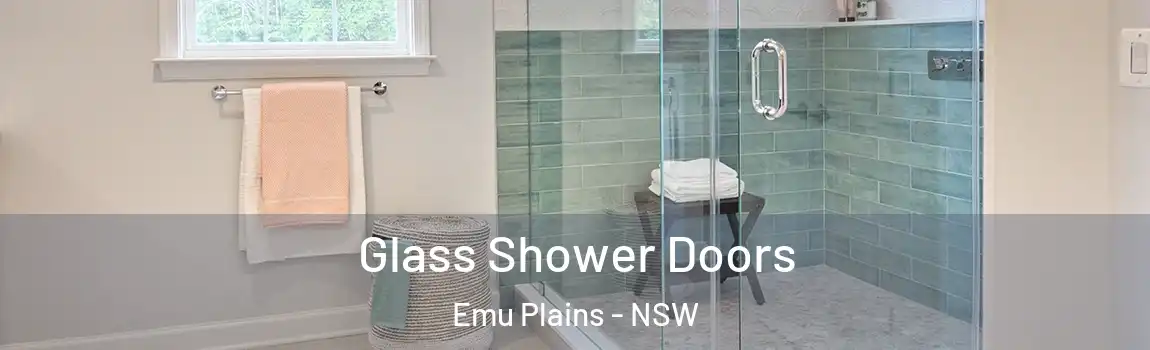  Glass Shower Doors Emu Plains - NSW