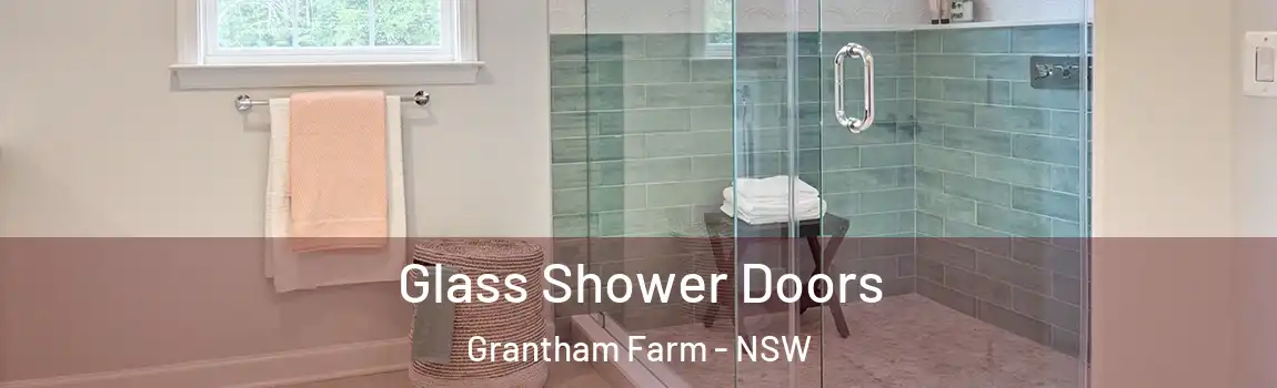  Glass Shower Doors Grantham Farm - NSW