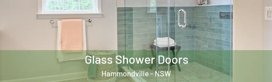  Glass Shower Doors Hammondville - NSW