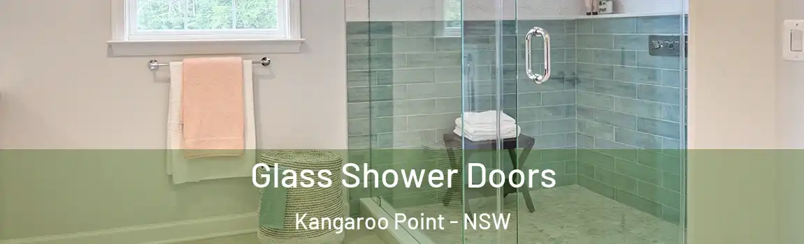  Glass Shower Doors Kangaroo Point - NSW