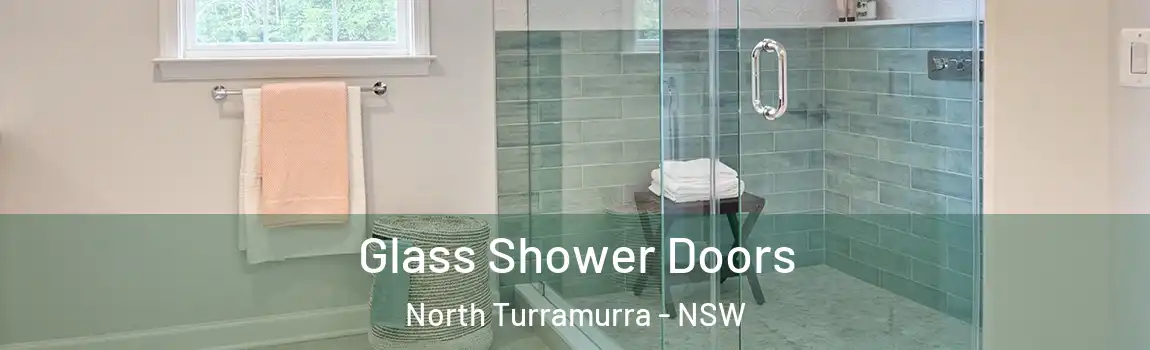  Glass Shower Doors North Turramurra - NSW
