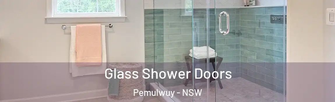  Glass Shower Doors Pemulwuy - NSW