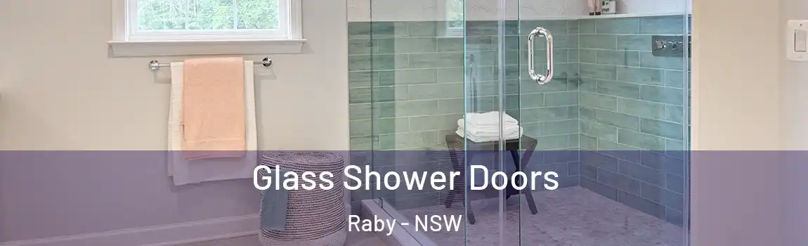  Glass Shower Doors Raby - NSW