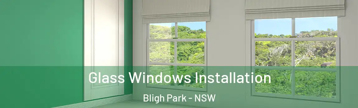  Glass Windows Installation Bligh Park - NSW