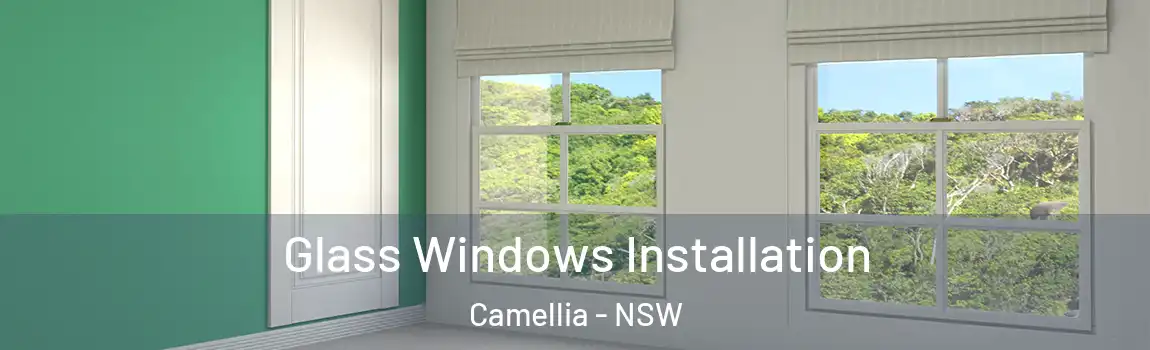  Glass Windows Installation Camellia - NSW