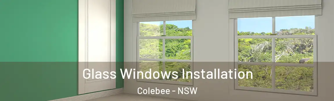  Glass Windows Installation Colebee - NSW
