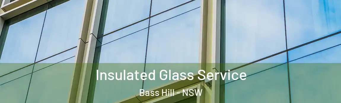  Insulated Glass Service Bass Hill - NSW