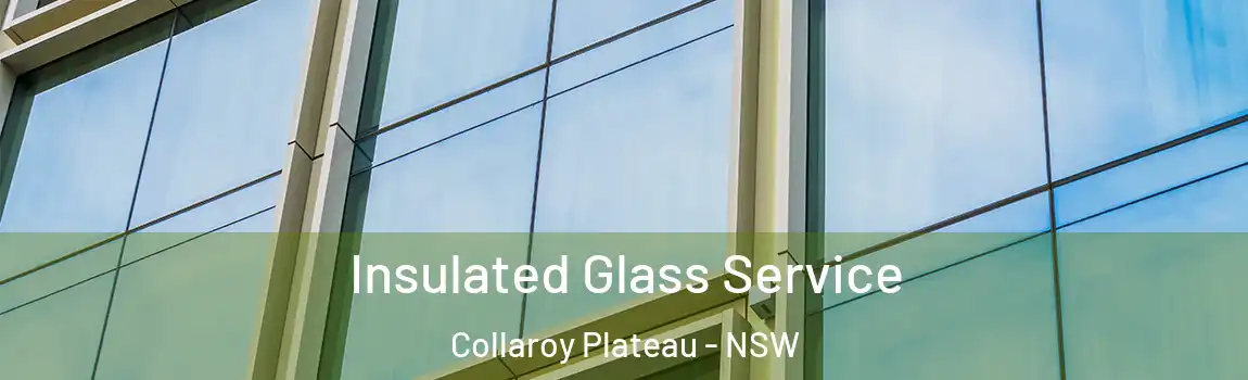 Insulated Glass Service Collaroy Plateau - NSW
