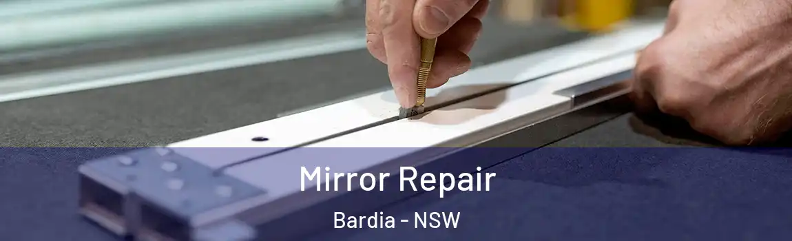  Mirror Repair Bardia - NSW