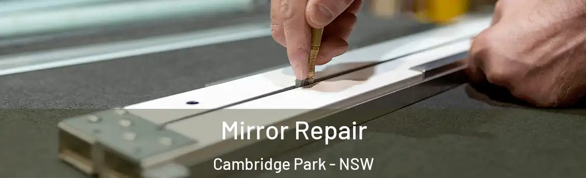 Mirror Repair Cambridge Park - NSW