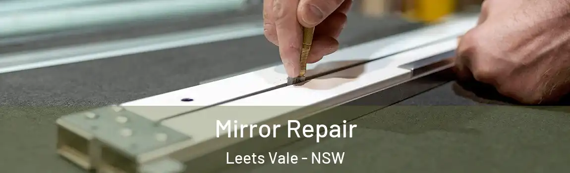  Mirror Repair Leets Vale - NSW
