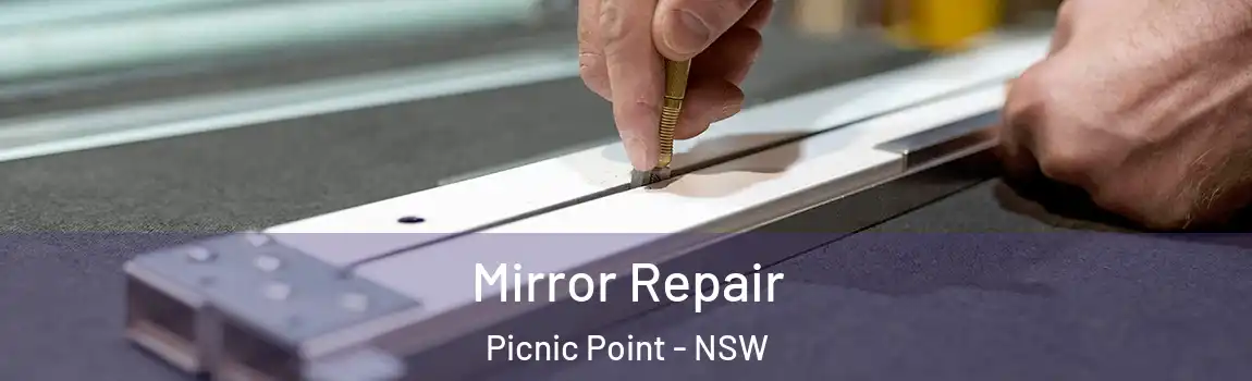  Mirror Repair Picnic Point - NSW