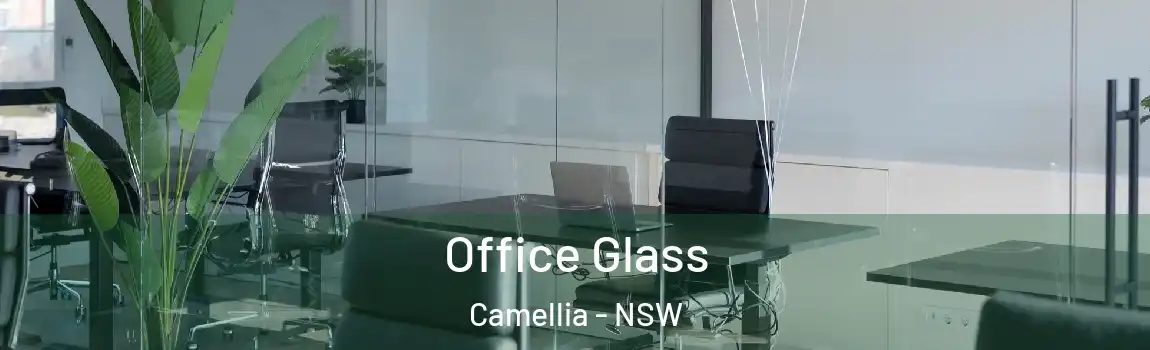  Office Glass Camellia - NSW