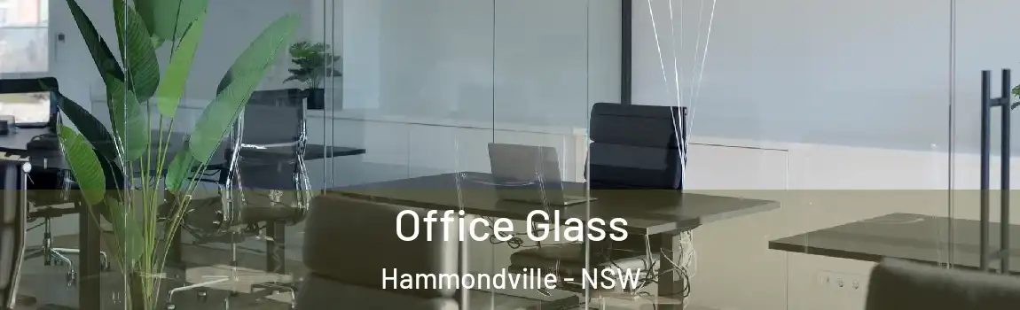  Office Glass Hammondville - NSW