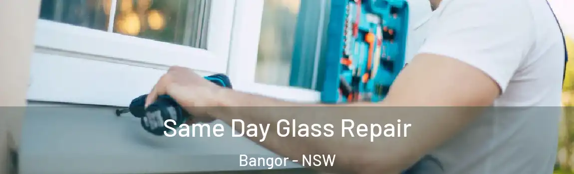  Same Day Glass Repair Bangor - NSW
