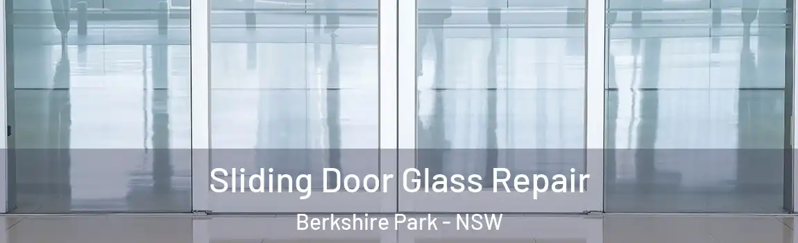  Sliding Door Glass Repair Berkshire Park - NSW